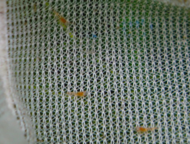 アップロードファイル 149-5.jpg