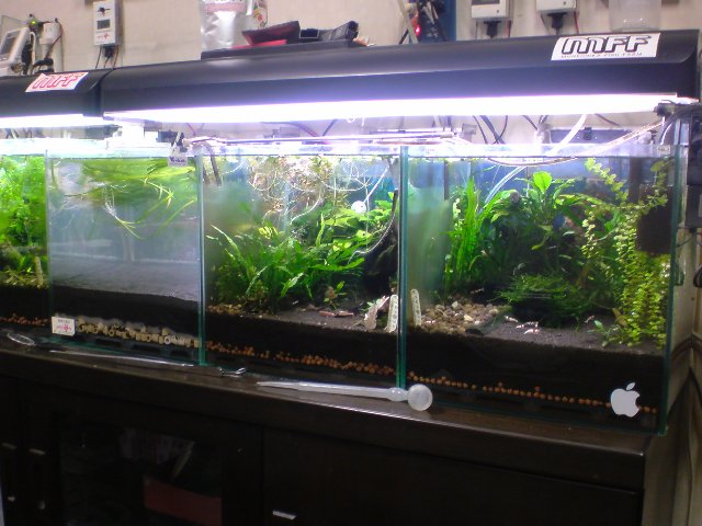 アップロードファイル 157-1.jpg