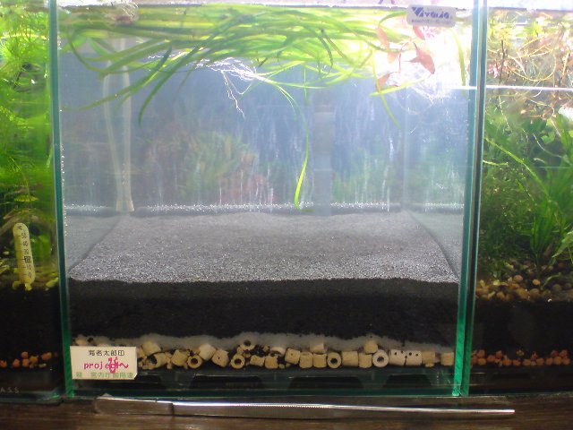 アップロードファイル 157-2.jpg