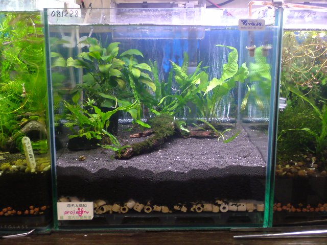 アップロードファイル 157-3.jpg