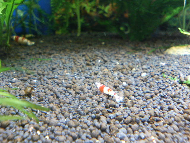 アップロードファイル 16-2.jpg