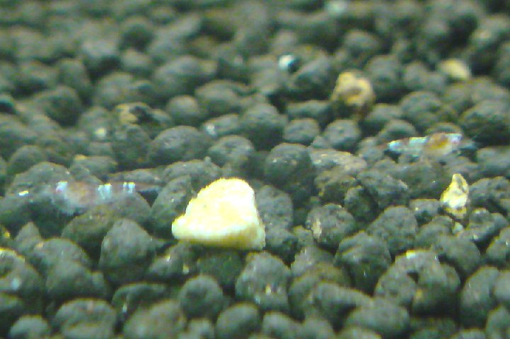 アップロードファイル 165-5.jpg