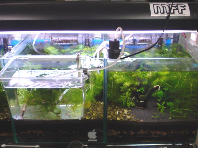 アップロードファイル 169-1.jpg