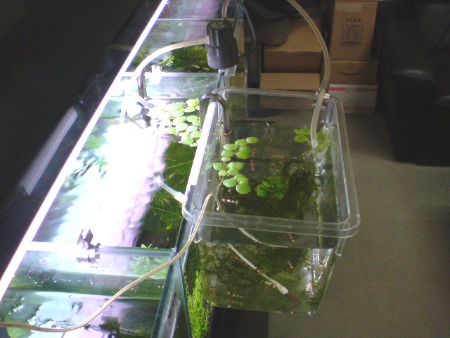 アップロードファイル 169-2.jpg