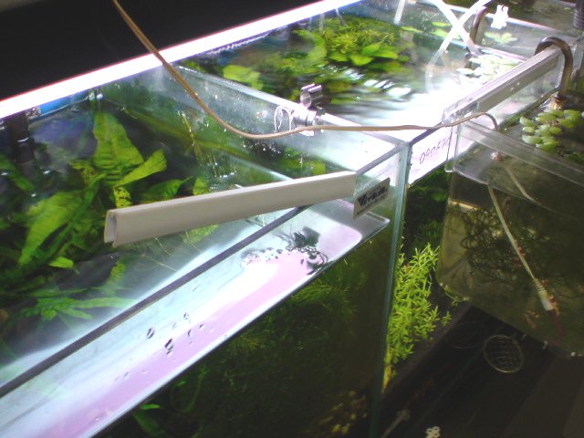 アップロードファイル 169-3.jpg