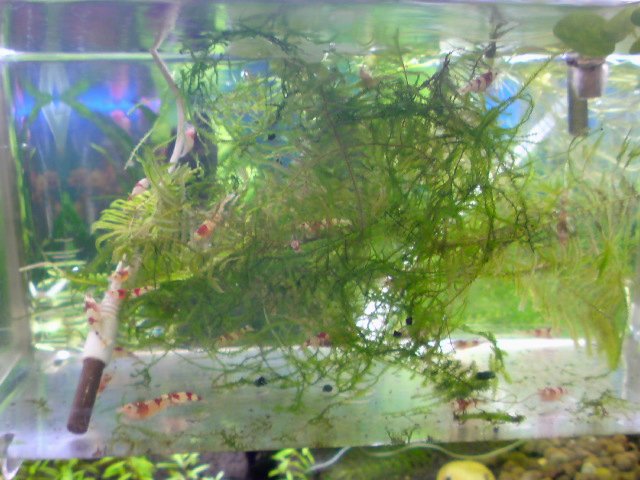 アップロードファイル 169-4.jpg