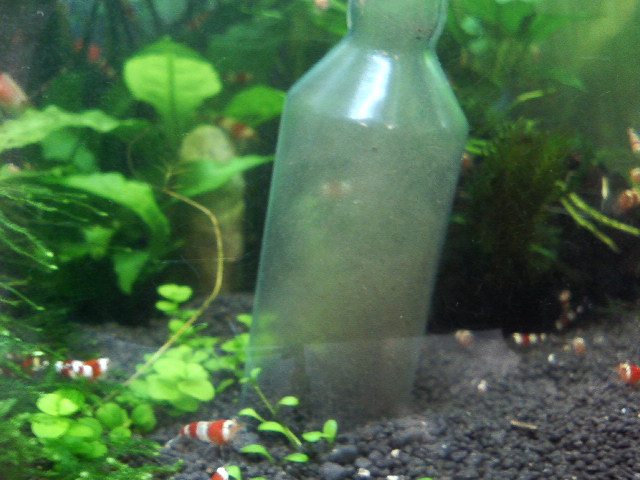 アップロードファイル 17-2.jpg