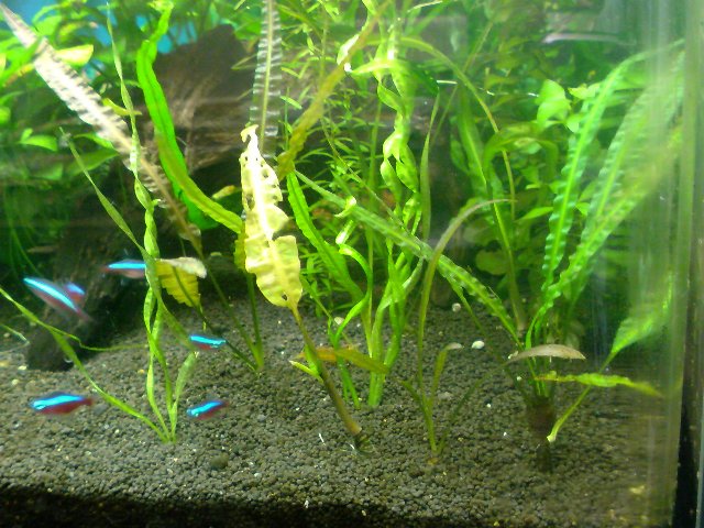 アップロードファイル 171-2.jpg