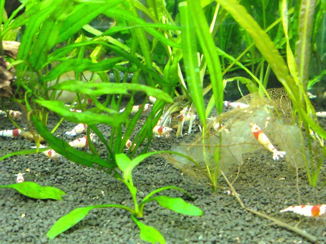 アップロードファイル 180-1.jpg