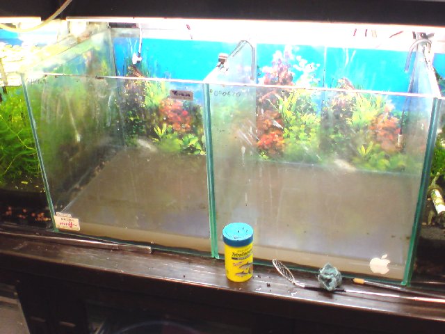 アップロードファイル 191-1.jpg