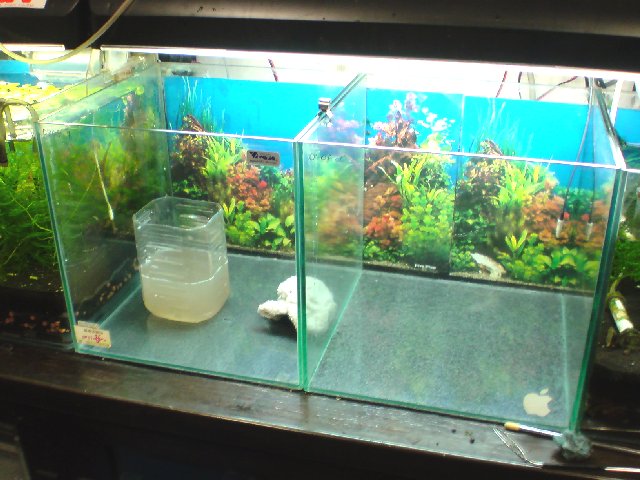 アップロードファイル 191-2.jpg