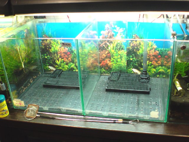 アップロードファイル 191-3.jpg