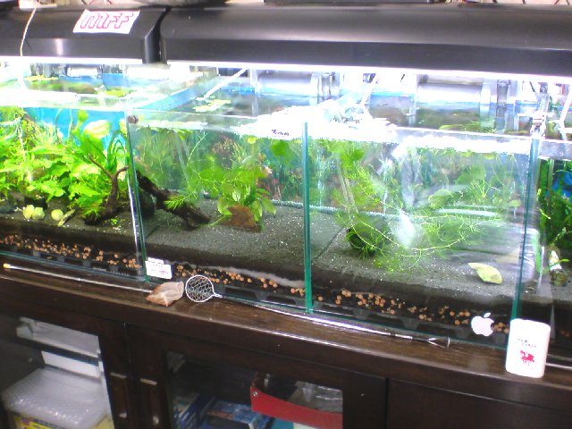 アップロードファイル 191-4.jpg