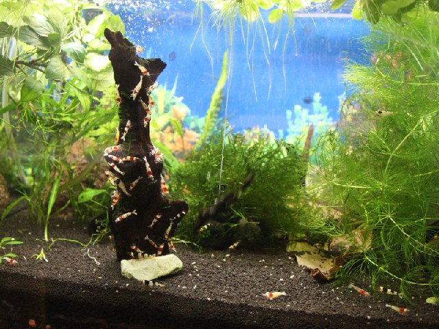 アップロードファイル 191-5.jpg