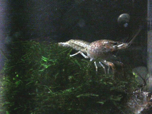 アップロードファイル 20-1.jpg