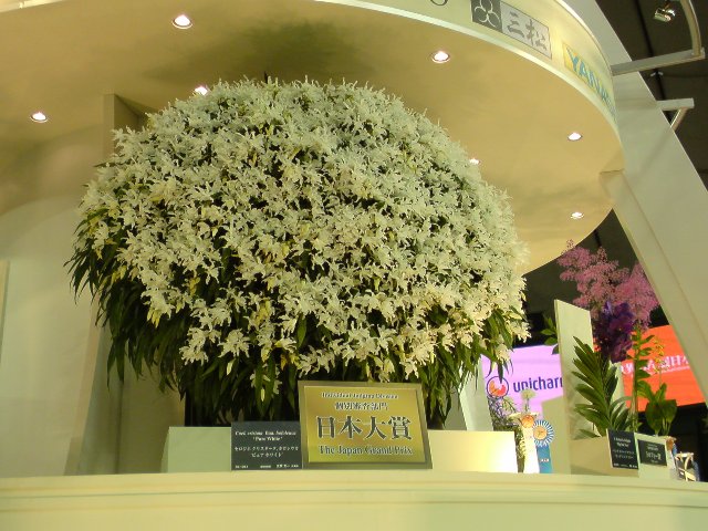 アップロードファイル 201-2.jpg