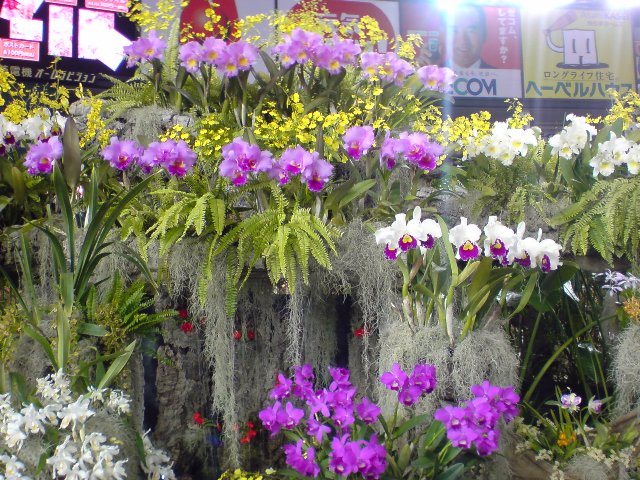 アップロードファイル 201-3.jpg