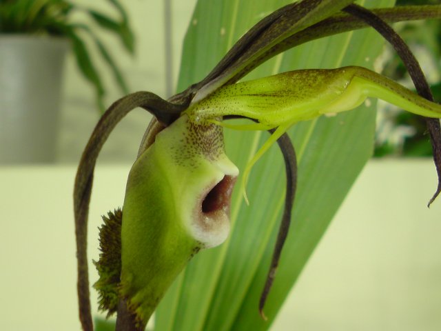 アップロードファイル 201-4.jpg