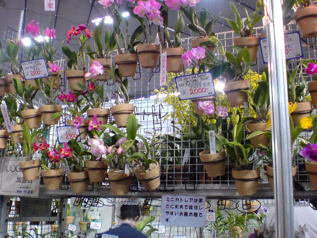 アップロードファイル 201-5.jpg