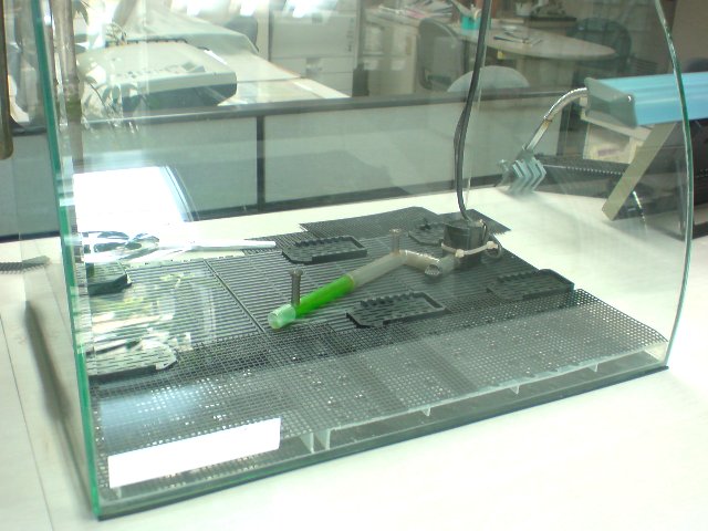 アップロードファイル 203-1.jpg