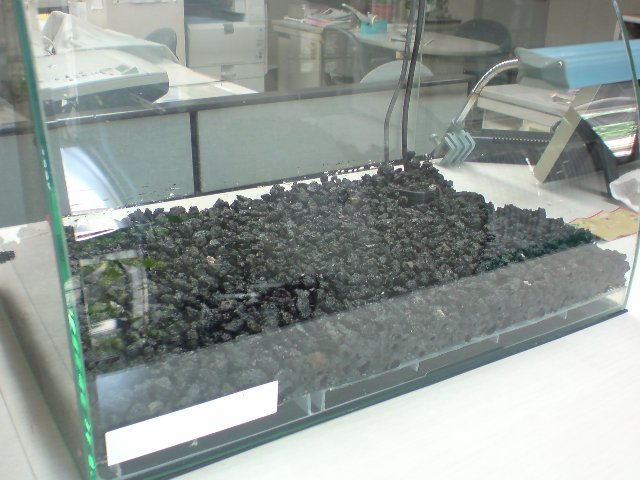 アップロードファイル 203-2.jpg