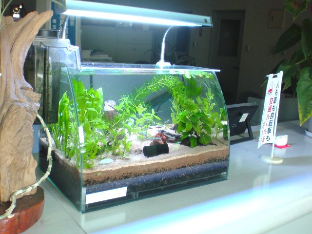 アップロードファイル 203-3.jpg