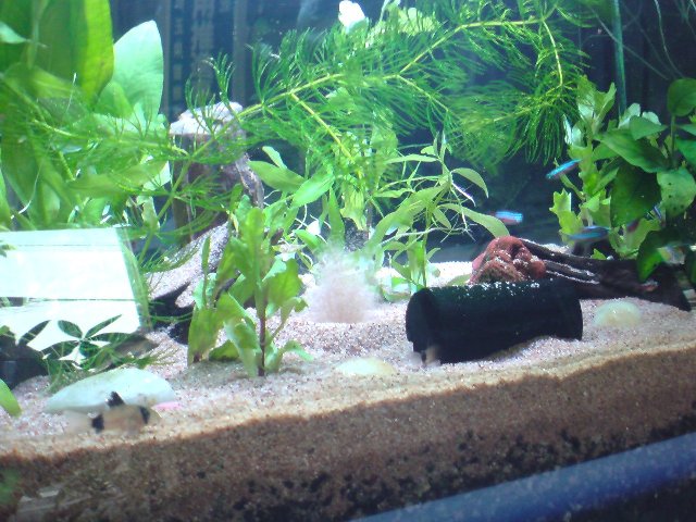 アップロードファイル 203-4.jpg