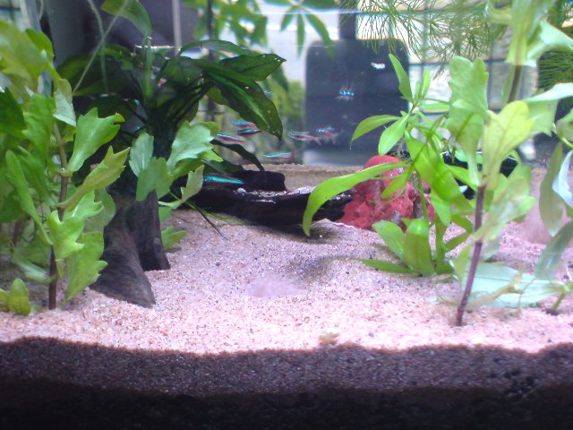 アップロードファイル 203-5.jpg