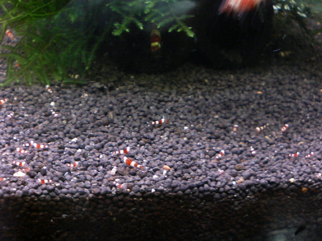 アップロードファイル 21-1.jpg