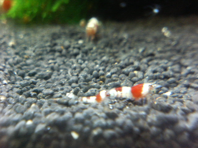 アップロードファイル 21-2.jpg