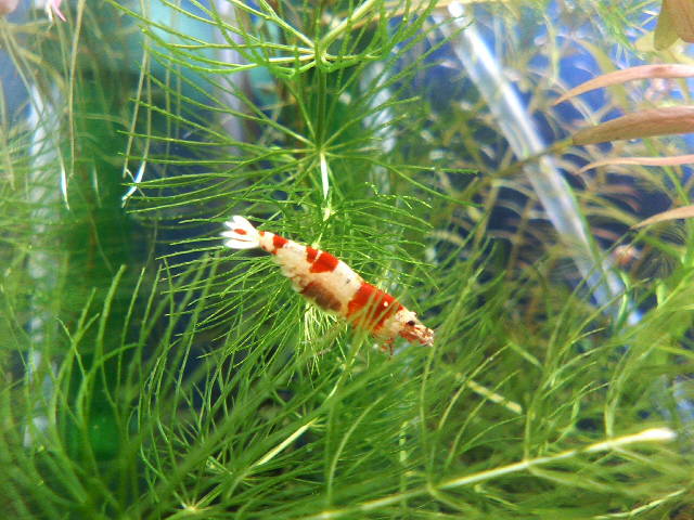 アップロードファイル 22-1.jpg