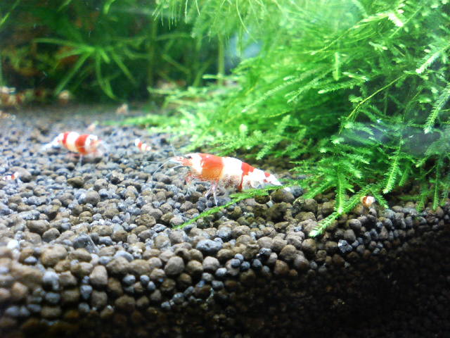 アップロードファイル 22-2.jpg