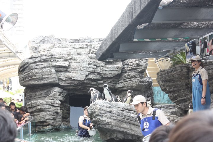 アップロードファイル 221-6.jpg