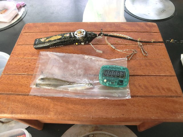 アップロードファイル 226-6.jpg