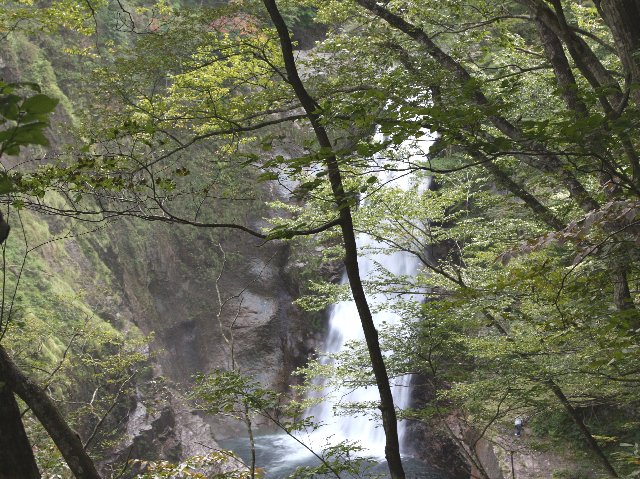 アップロードファイル 227-3.jpg