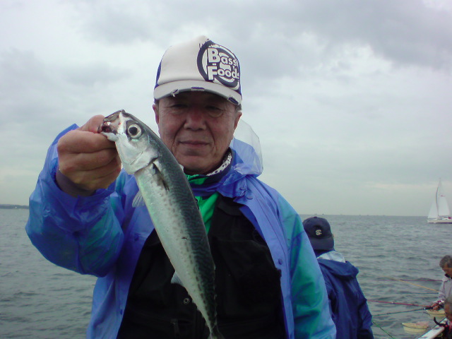 アップロードファイル 228-3.jpg