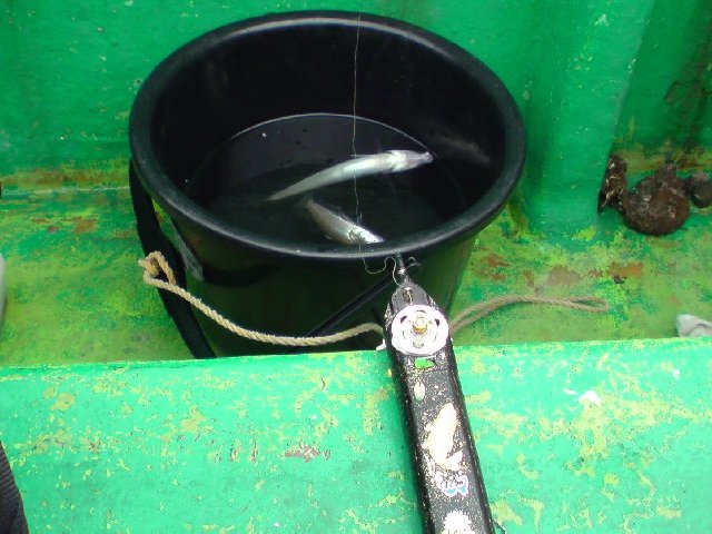 アップロードファイル 240-3.jpg