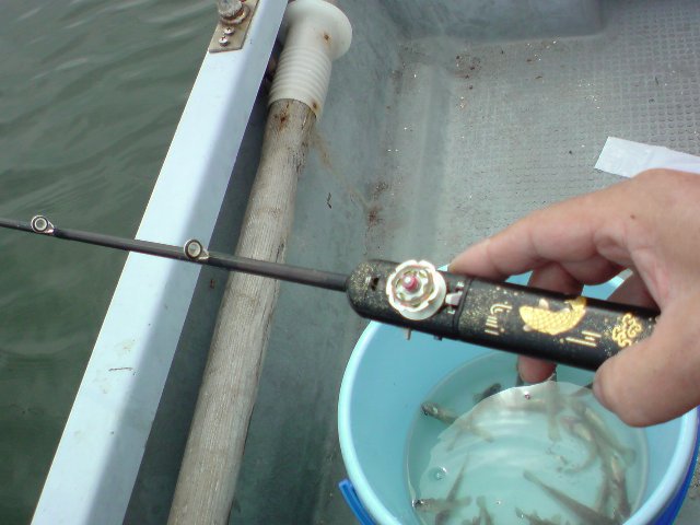 アップロードファイル 241-4.jpg