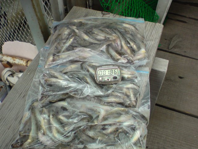 アップロードファイル 241-6.jpg