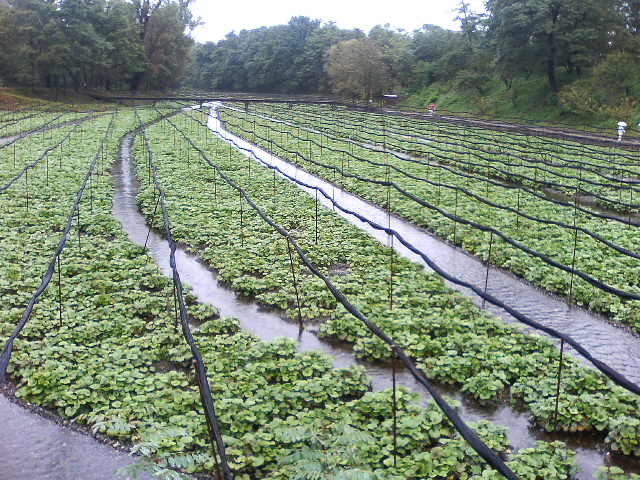 アップロードファイル 26-5.jpg