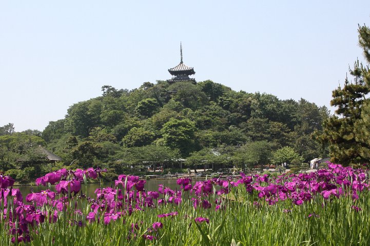 アップロードファイル 261-2.jpg