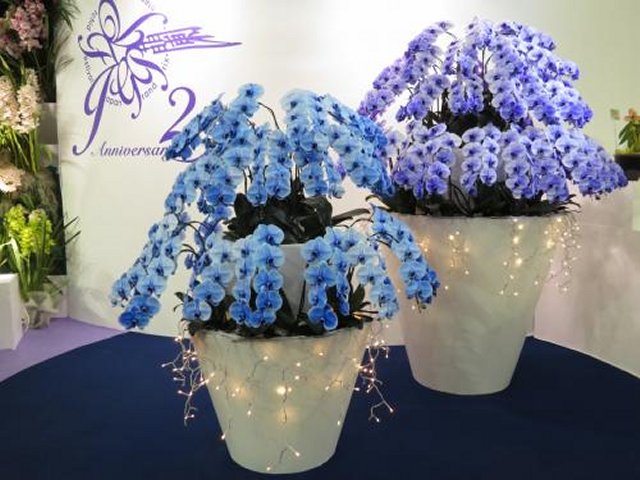 アップロードファイル 287-2.jpg