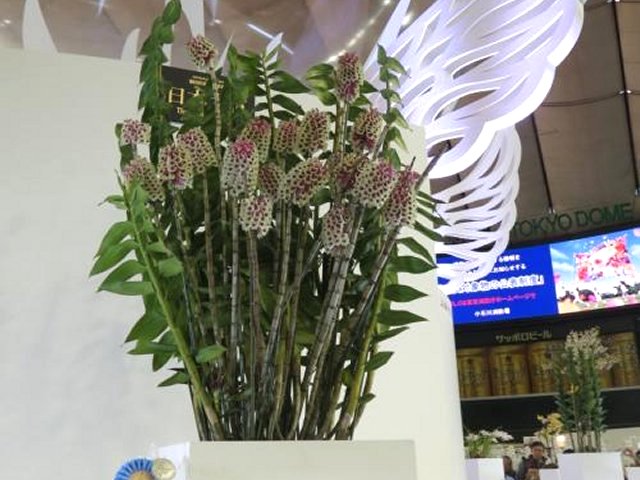 アップロードファイル 287-4.jpg