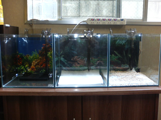 アップロードファイル 30-1.jpg