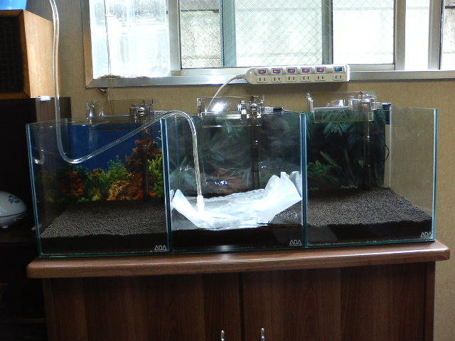 アップロードファイル 30-2.jpg