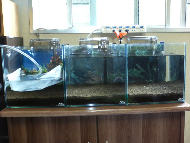 アップロードファイル 30-3.jpg