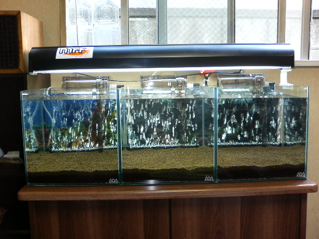 アップロードファイル 30-4.jpg