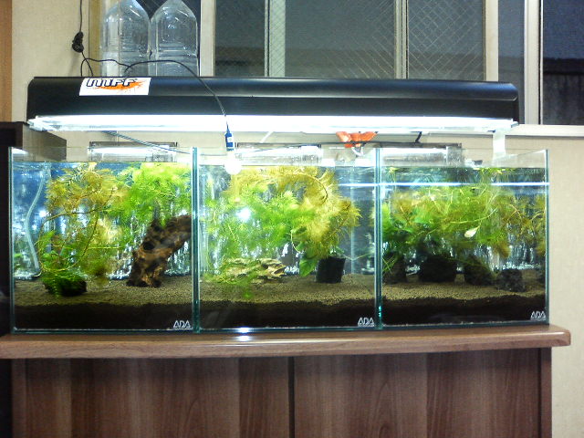 アップロードファイル 30-5.jpg