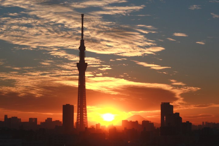 アップロードファイル 307-6.jpg