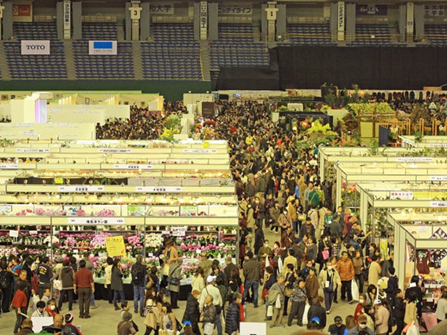 アップロードファイル 309-1.jpg